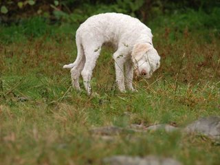 2009-10-04_ntb_0185