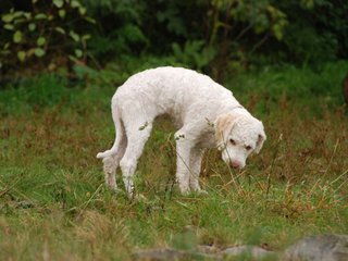 2009-10-04_ntb_0186