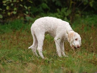 2009-10-04_ntb_0188