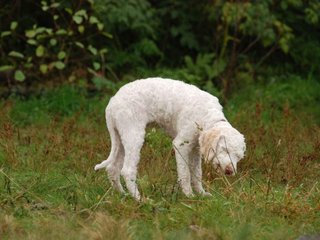 2009-10-04_ntb_0189