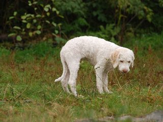 2009-10-04_ntb_0190
