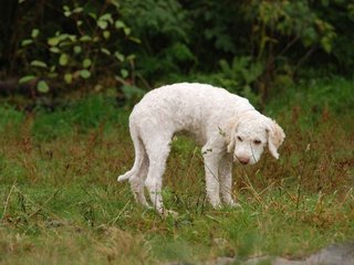 2009-10-04_ntb_0191