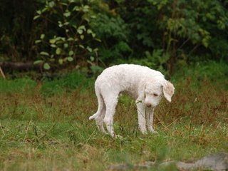 2009-10-04_ntb_0192