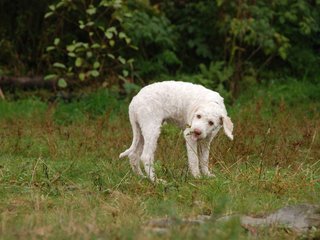 2009-10-04_ntb_0193