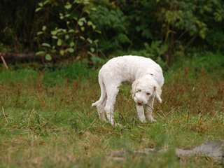2009-10-04_ntb_0194
