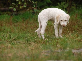 2009-10-04_ntb_0195