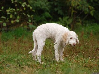 2009-10-04_ntb_0196