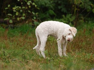 2009-10-04_ntb_0197