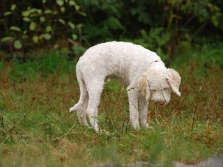 2009-10-04_ntb_0198