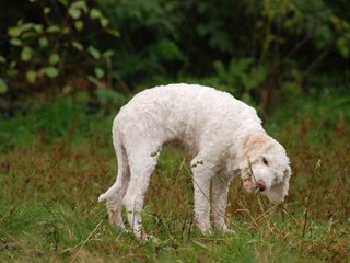 2009-10-04_ntb_0199