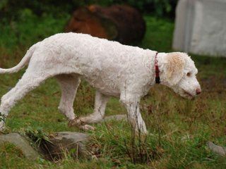 2009-10-04_ntb_0200