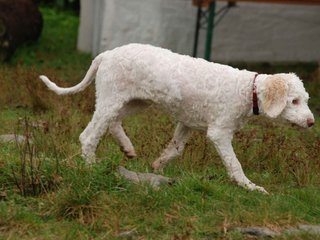 2009-10-04_ntb_0201