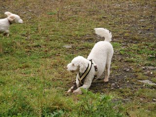 2009-10-04_ntb_0203