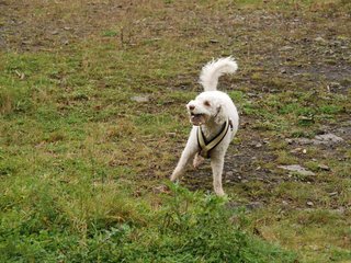 2009-10-04_ntb_0204