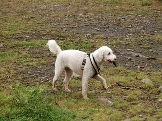 2009-10-04_ntb_0205