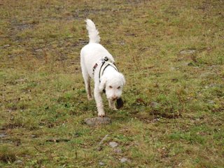 2009-10-04_ntb_0207
