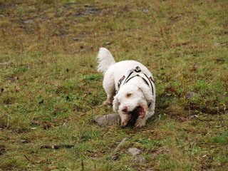 2009-10-04_ntb_0208