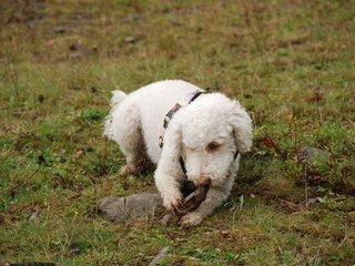 2009-10-04_ntb_0209