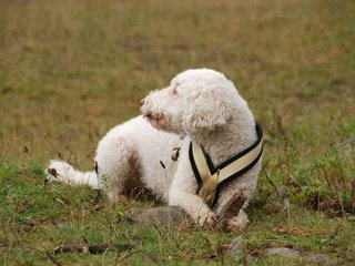 2009-10-04_ntb_0210