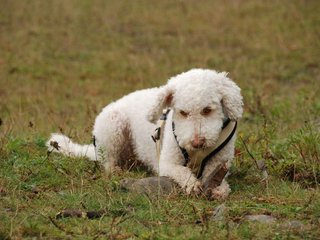 2009-10-04_ntb_0211