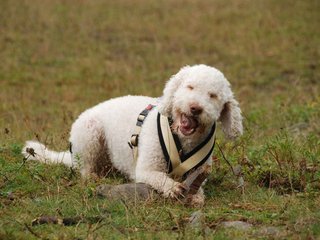 2009-10-04_ntb_0212