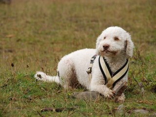 2009-10-04_ntb_0214