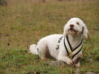 2009-10-04_ntb_0215