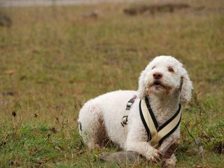 2009-10-04_ntb_0216