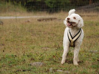 2009-10-04_ntb_0218