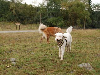 2009-10-04_ntb_0219