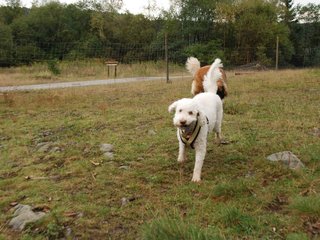 2009-10-04_ntb_0220