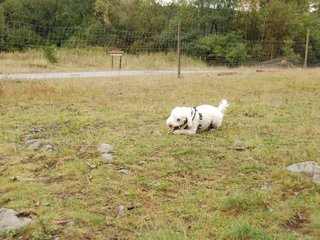 2009-10-04_ntb_0221