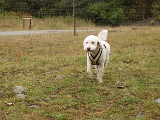 2009-10-04_ntb_0222