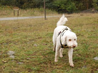 2009-10-04_ntb_0223