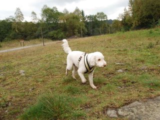 2009-10-04_ntb_0224
