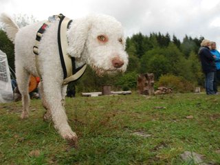 2009-10-04_ntb_0226