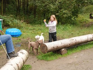 2009-10-04_ntb_0227