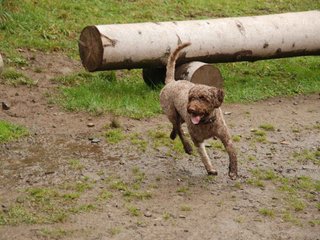 2009-10-04_ntb_0228