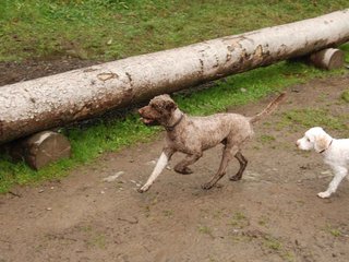 2009-10-04_ntb_0229