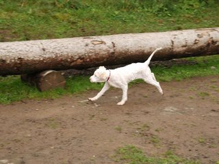 2009-10-04_ntb_0230