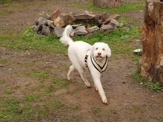2009-10-04_ntb_0236