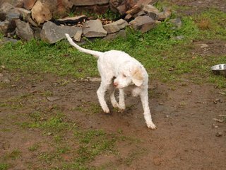 2009-10-04_ntb_0237