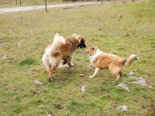 2009-10-04_ntb_0239