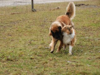 2009-10-04_ntb_0241