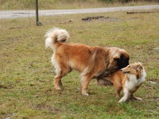 2009-10-04_ntb_0243