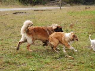 2009-10-04_ntb_0244