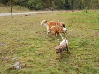 2009-10-04_ntb_0245