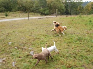 2009-10-04_ntb_0246