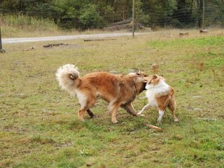 2009-10-04_ntb_0247