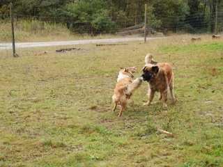 2009-10-04_ntb_0248